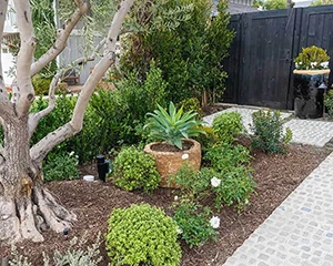 Commercial & Residential Landscape Design Services