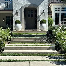 Beautiful Ground Cover Guiding You the Way to Home