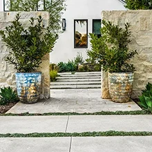 Entrance Pots Design