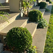 Creating Beautiful Horticulture Garden Design