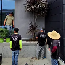 Modern meets Tropical - Landscape Design Corona Del Mar