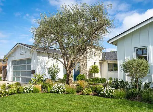 Front Yard Landscaping Remodel Near Laguna Beach, CA