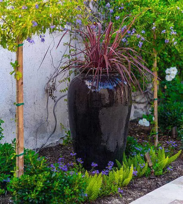 Low-Maintenance Landscaping Design Service Orange County