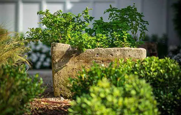 Softscaping & Natural Stone Planters