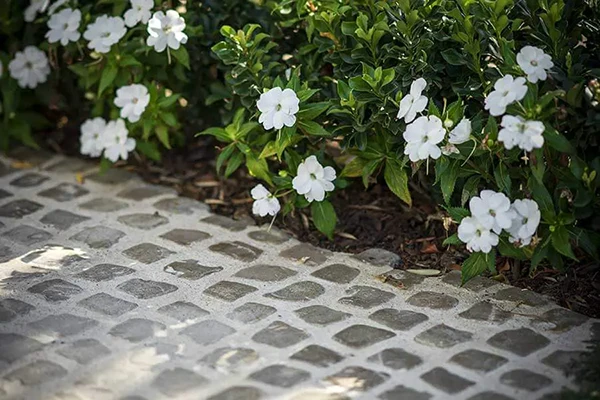 Flower Bed and Stone Walkway 