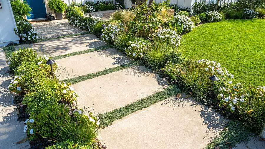Stone Pathway and Beautiful Softscaping