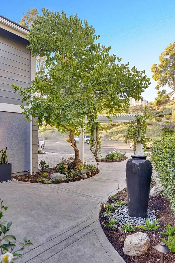 Pathway with Lush Planting & Contemporary Pottery