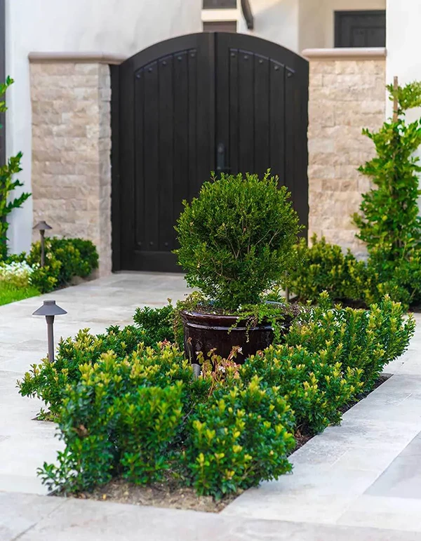 Beautiful Drought-Resistant Landscape Designs