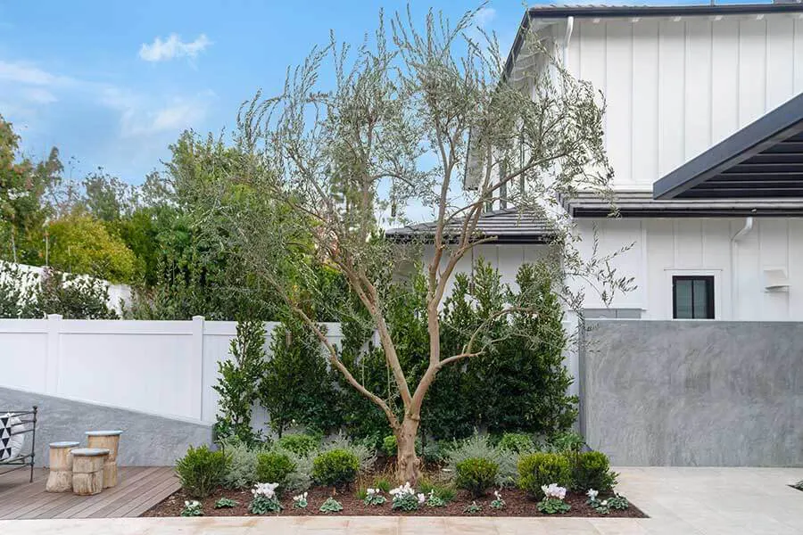 Backyard Tree Installation Newport Beach
