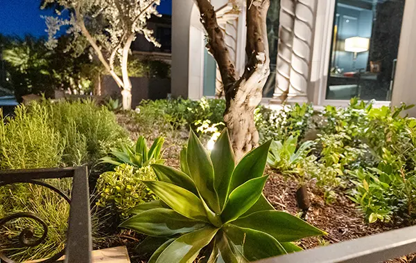 Landscape Planting Detail with Garden Features