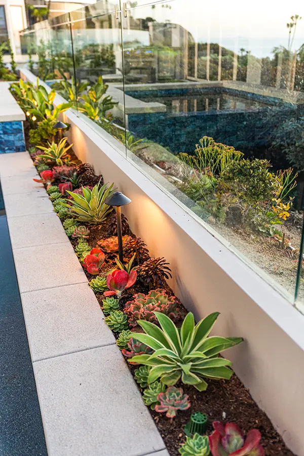 Succulent Planting with Low Voltage Lighting Detail